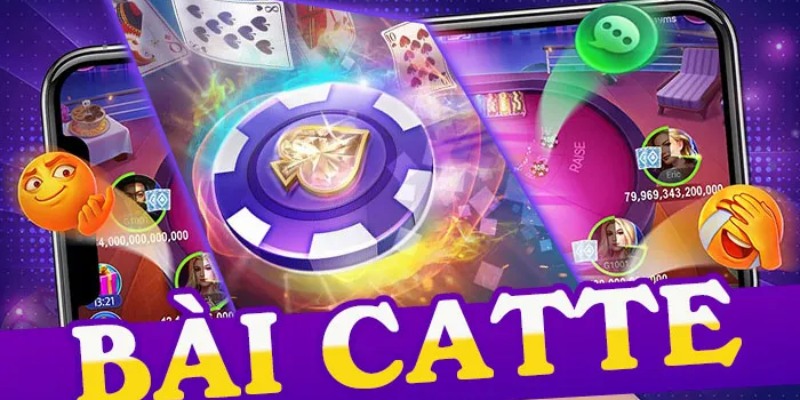 Hướng dẫn cách chơi catte online cụ thể nhất cho tân thủ