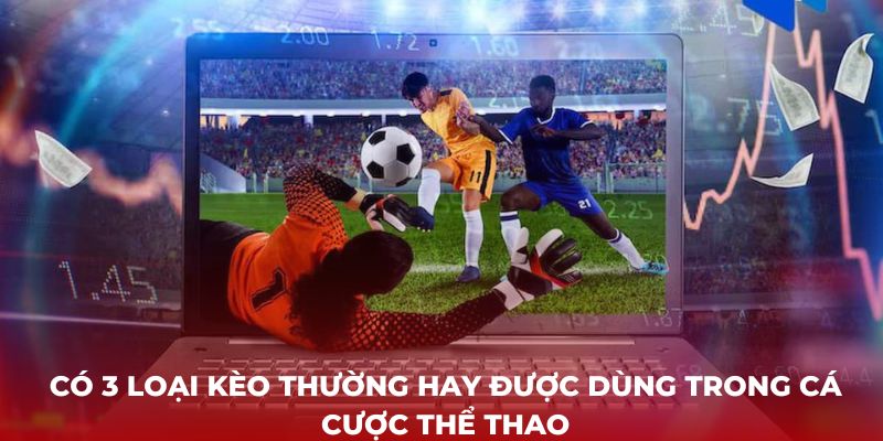 Có 3 loại kèo thường hay được dùng trong cá cược thể thao