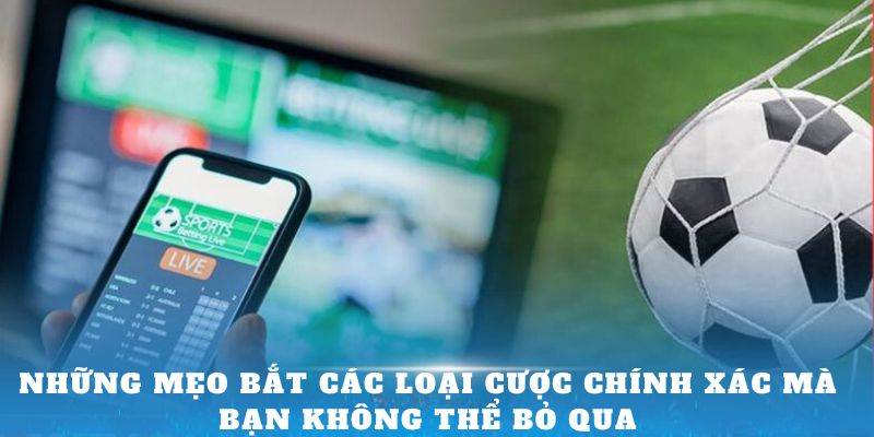 Những mẹo bắt các loại cược chính xác mà bạn không thể bỏ qua